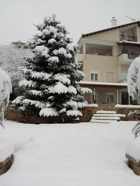 Hotel Xenonas Ioanni Parcha Levídhion Zewnętrze zdjęcie